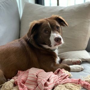 Meet your Posher, Kara